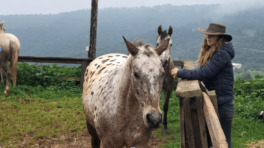 הדס עברי | איך תקשורת אמפתית, מבוססת חיזוקים חיוביים שינתה את הקשר שלי לסוסים כמגדלת, מאמנת ומטפלת בעזרת סוסים